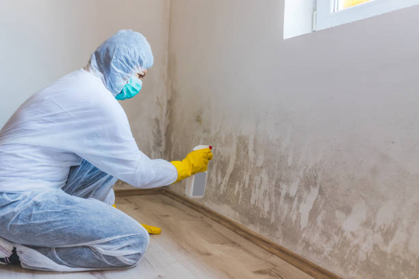 Mold Remediation specialist working in Denton