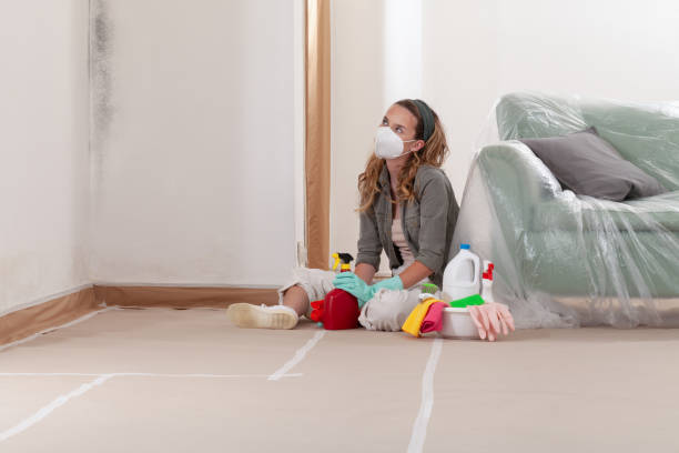 Mold Removal service in Denton